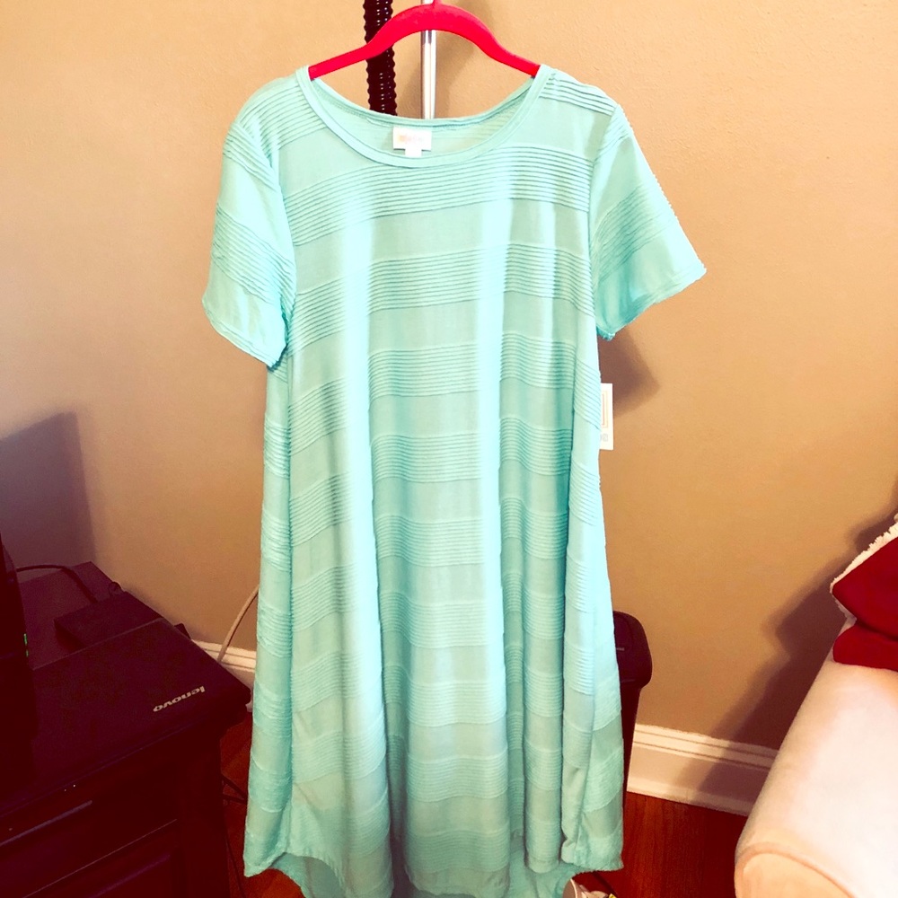 LuLaRoe Small Mint Carly Dress